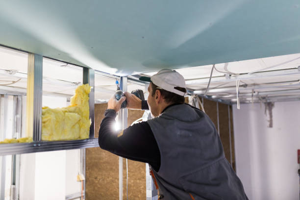 Best Batt and Roll Insulation  in Rosedale, CA